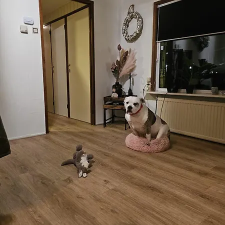 Tekne Woonboot De Witte Loosdrechtse Plassen