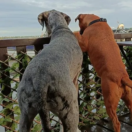 Tekne Woonboot De Witte Loosdrechtse Plassen Loosdrecht