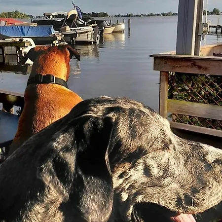 Botel Woonboot De Witte Loosdrechtse Plassen *