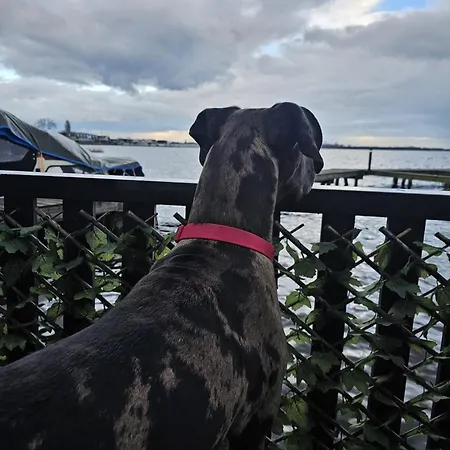 Woonboot De Witte Loosdrechtse Plassen Botel