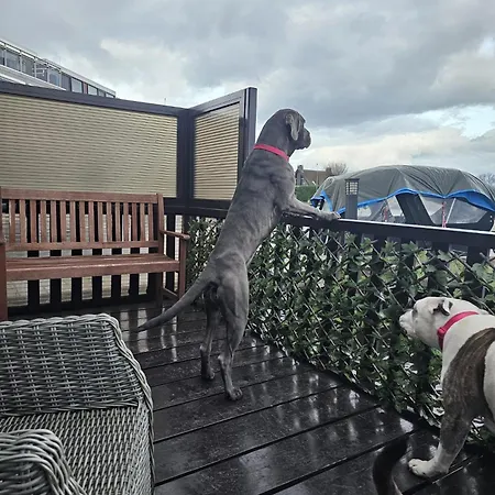 Woonboot De Witte Loosdrechtse Plassen